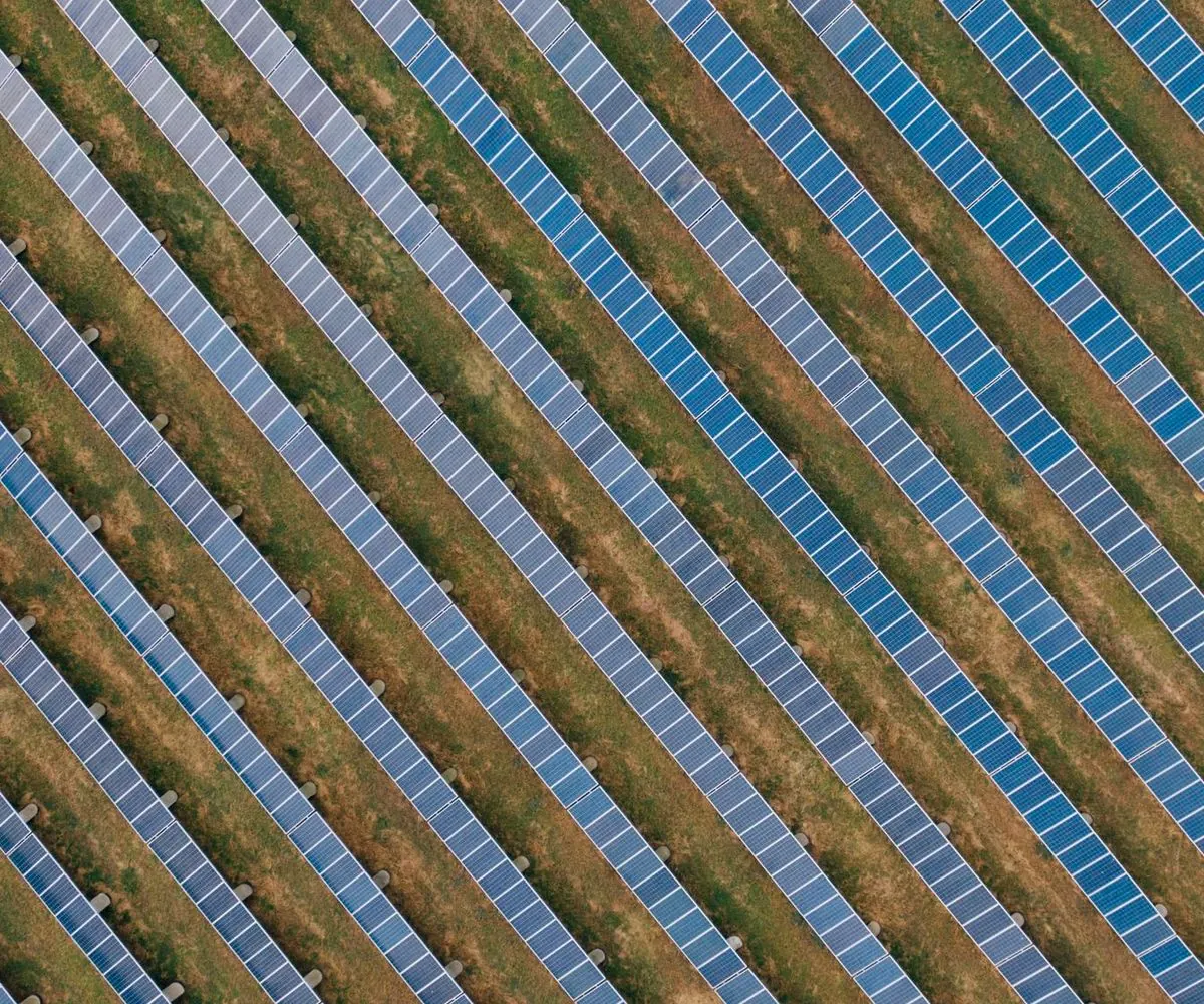 Rows of solar panels running in diagonal bands across open ground, seen from directly above.